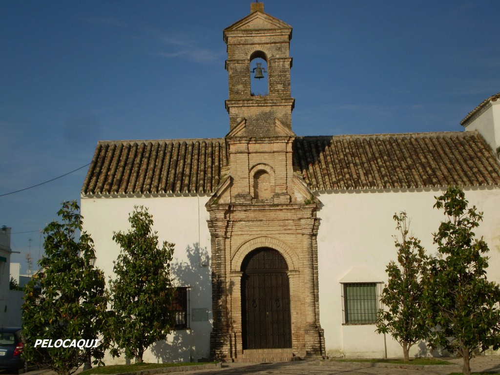 Foto: PELOCAQUI - Palma Del Rio (Córdoba), España