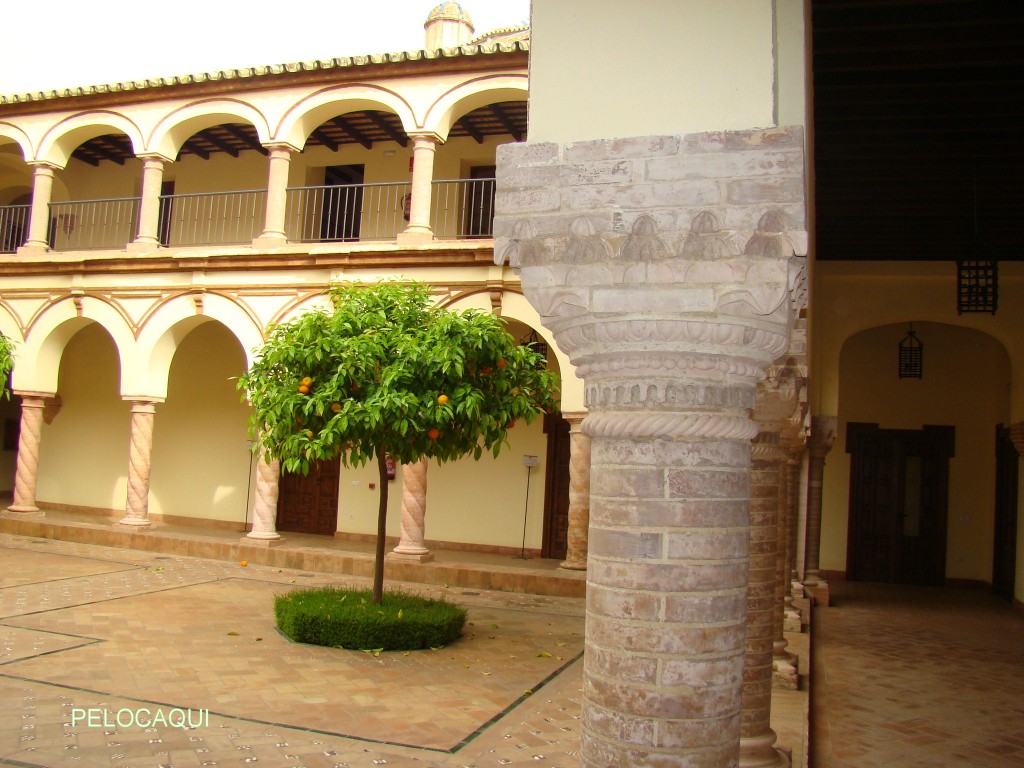 Foto: PELOCAQUI - Palma  Del Rio (Córdoba), España