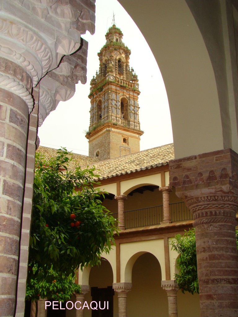 Foto: PELOCAQUI - Palma  Del Rio (Córdoba), España