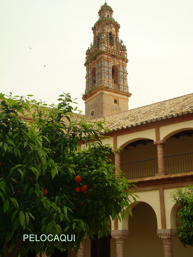 Foto: PELOCAQUI - Palma  Del Rio (Córdoba), España