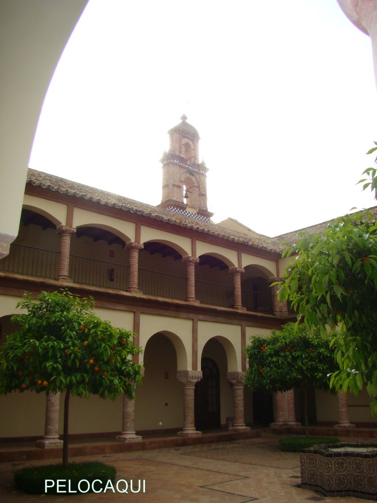 Foto: PELOCAQUI - Palma  Del Rio (Córdoba), España