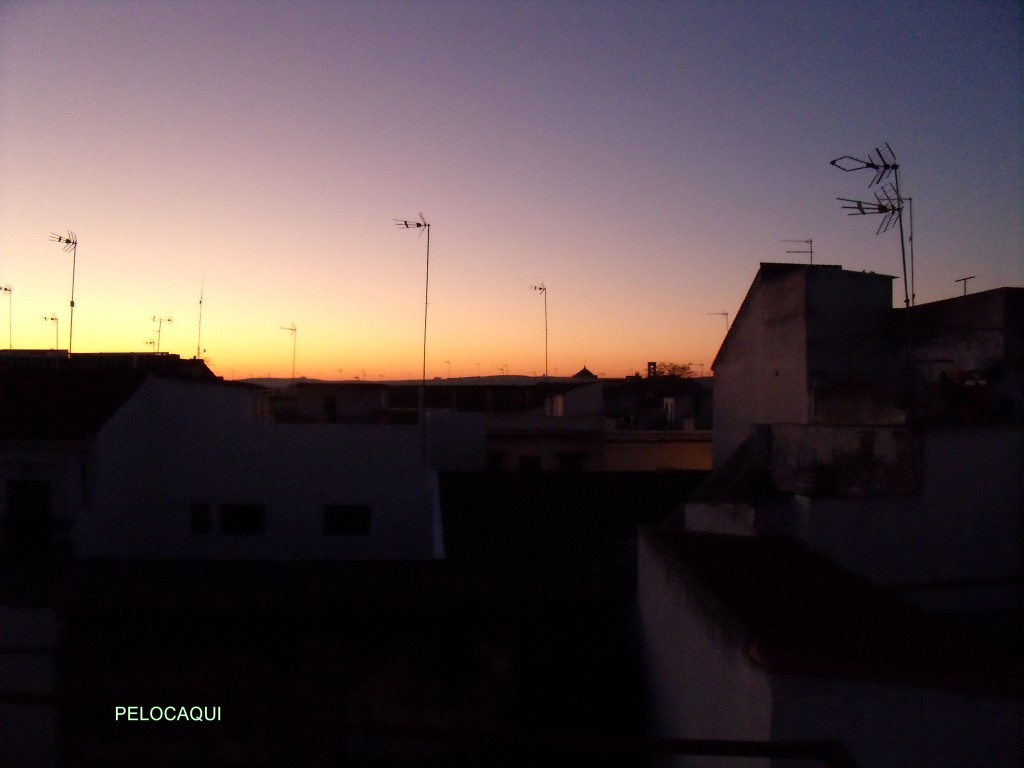 Foto: PELOCAQUI - Palma  Del Rio (Córdoba), España