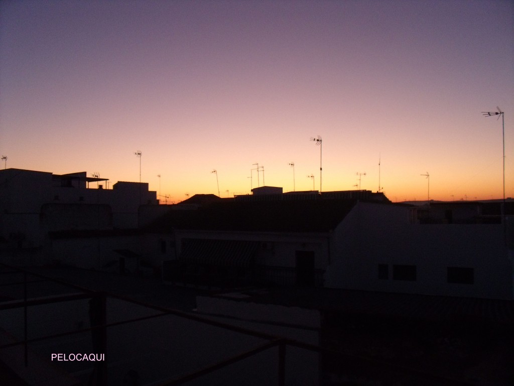 Foto: PELOCAQUI - Palma  Del Rio (Córdoba), España