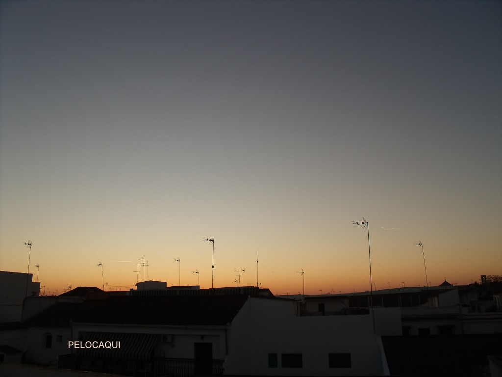 Foto: PELOCAQUI - Palma  Del Rio (Córdoba), España