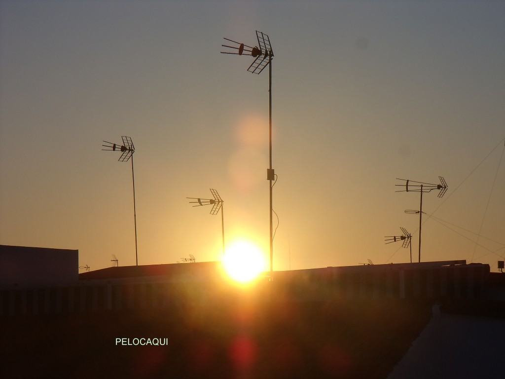 Foto: PELOCAQUI - Palma  Del Rio (Córdoba), España