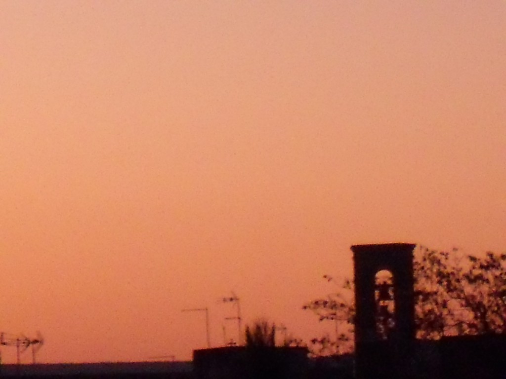 Foto: PELOCAQUI - Palma  Del Rio (Córdoba), España