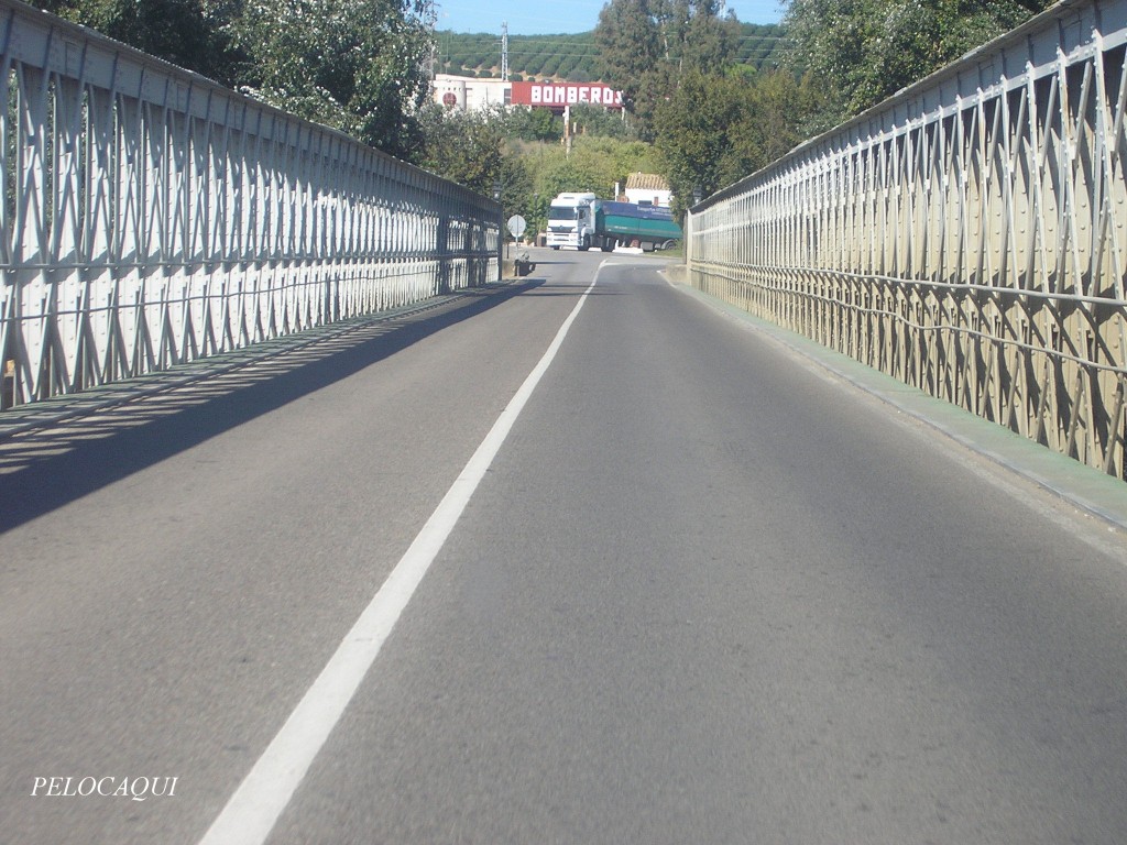 Foto: PELOCAQUI - Palma Del Rio (Córdoba), España