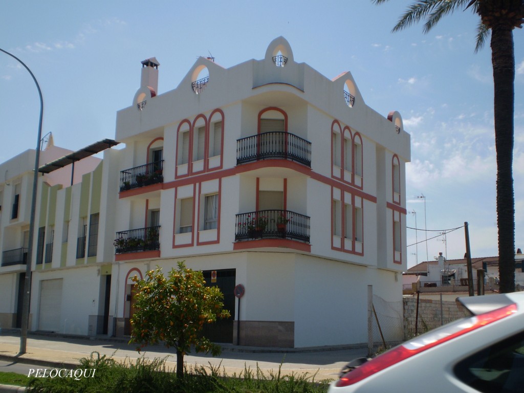 Foto: PELOCAQUI - Palma Del Rio (Córdoba), España