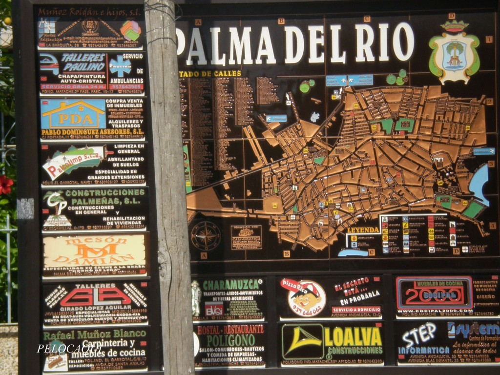 Foto: PELOCAQUI - Palma Del Rio (Córdoba), España