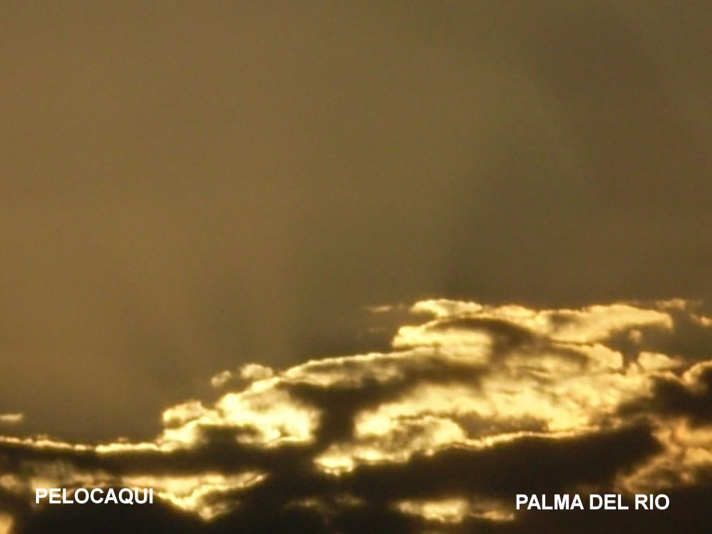 Foto: PELOCAQUI - Palma Del Rio (Córdoba), España