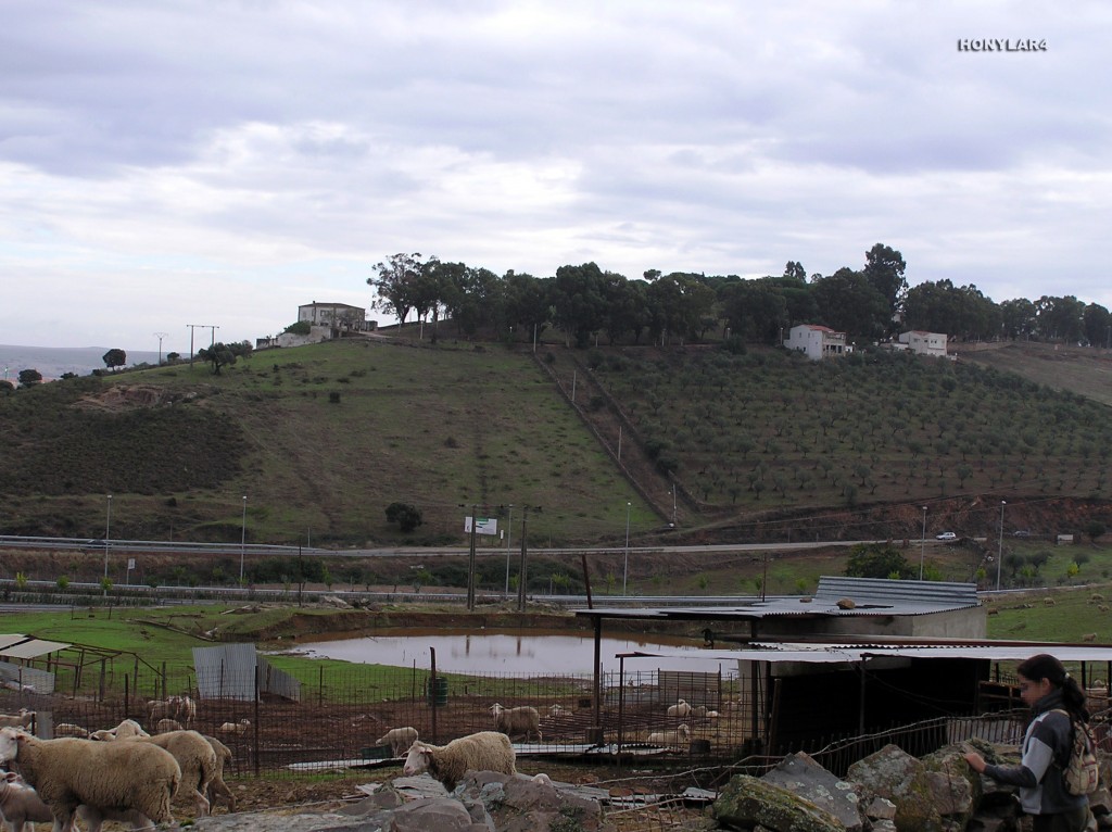 Foto: * PASEO ALTO O DE IBARROLA - Caceres (Cáceres), España
