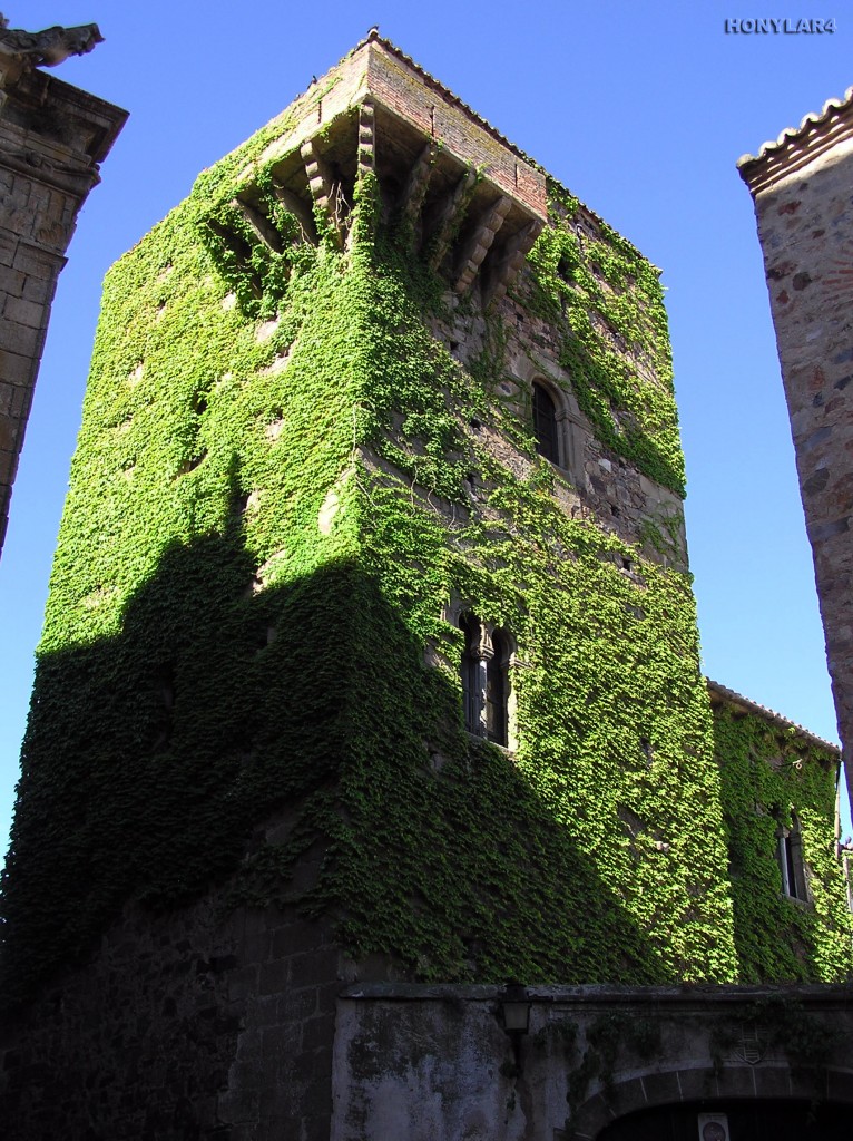Foto: * CASA DE LOS PAREDES-SAAVEDRA Y TORRE DE LOS SANDE DEL SIGLO XIV - Caceres (Cáceres), España