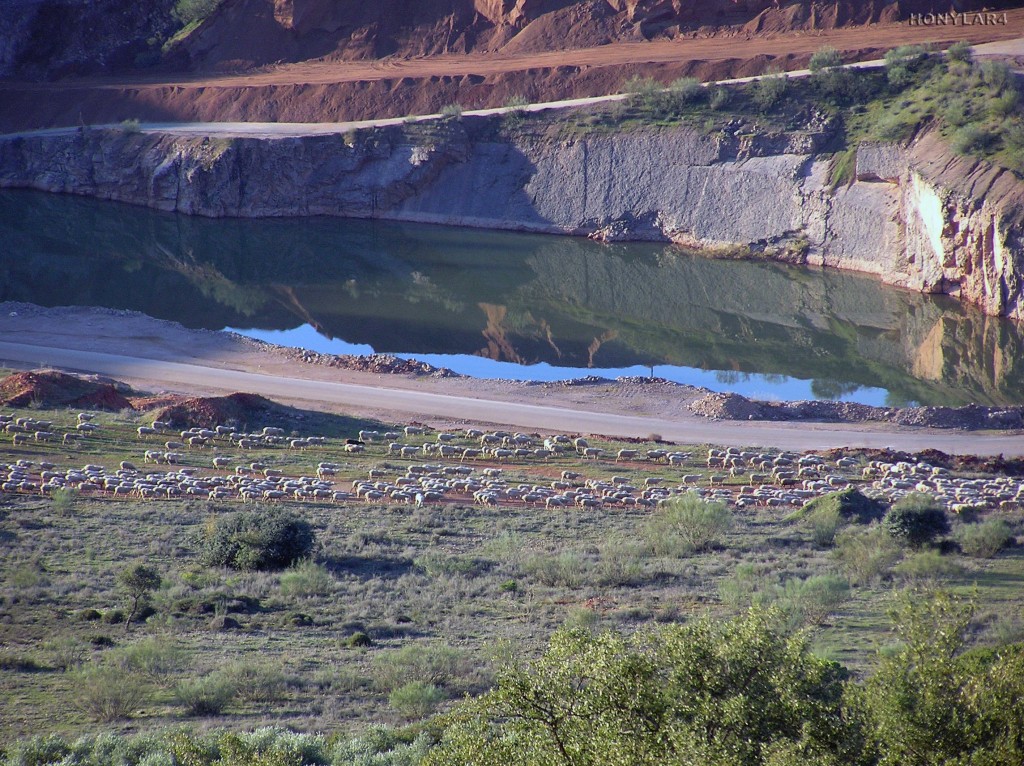 Foto: * PEDRERA DE OLLETA EN LA MONTAÑA - Caceres (Cáceres), España