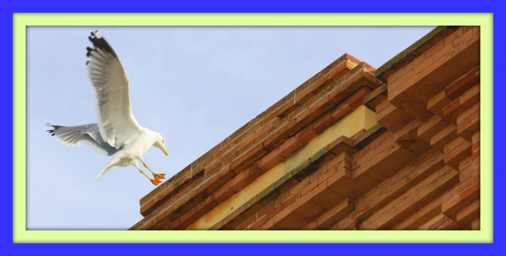 Foto de Cadiz (Cádiz), España