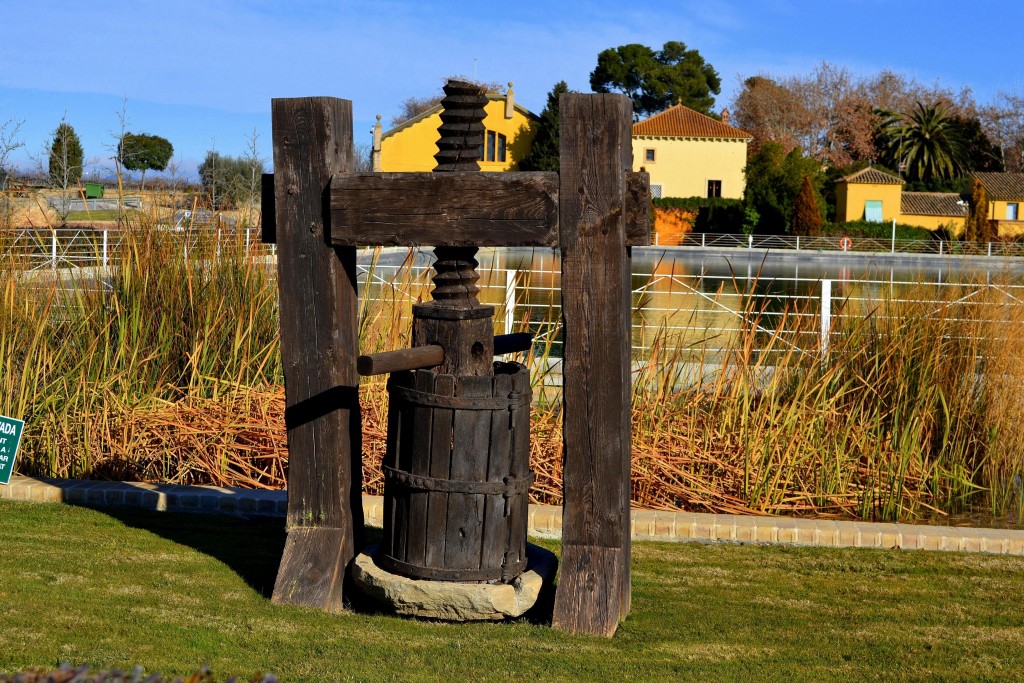 Foto: Bodegas Torres - Pacs del Penedes (Barcelona), España