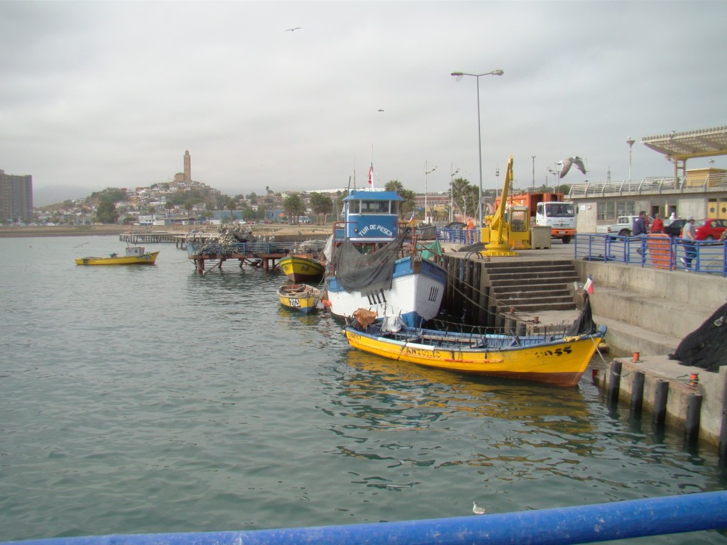 Foto: caleta de coqbo. - Coquimbo, Chile