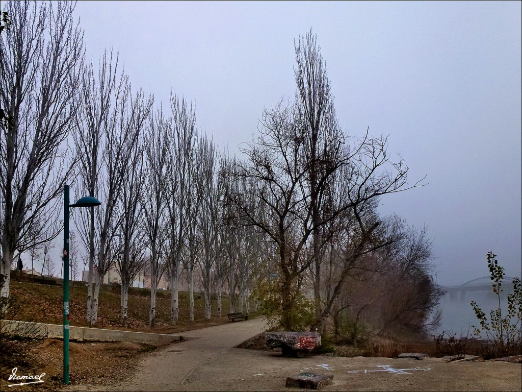 Foto: 120115-30 NIEBLA EN EL EBRO  PUENTE PÌEDRA - Zaragoza (Aragón), España