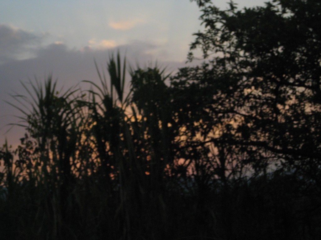Foto de Tapachula (Chiapas), México