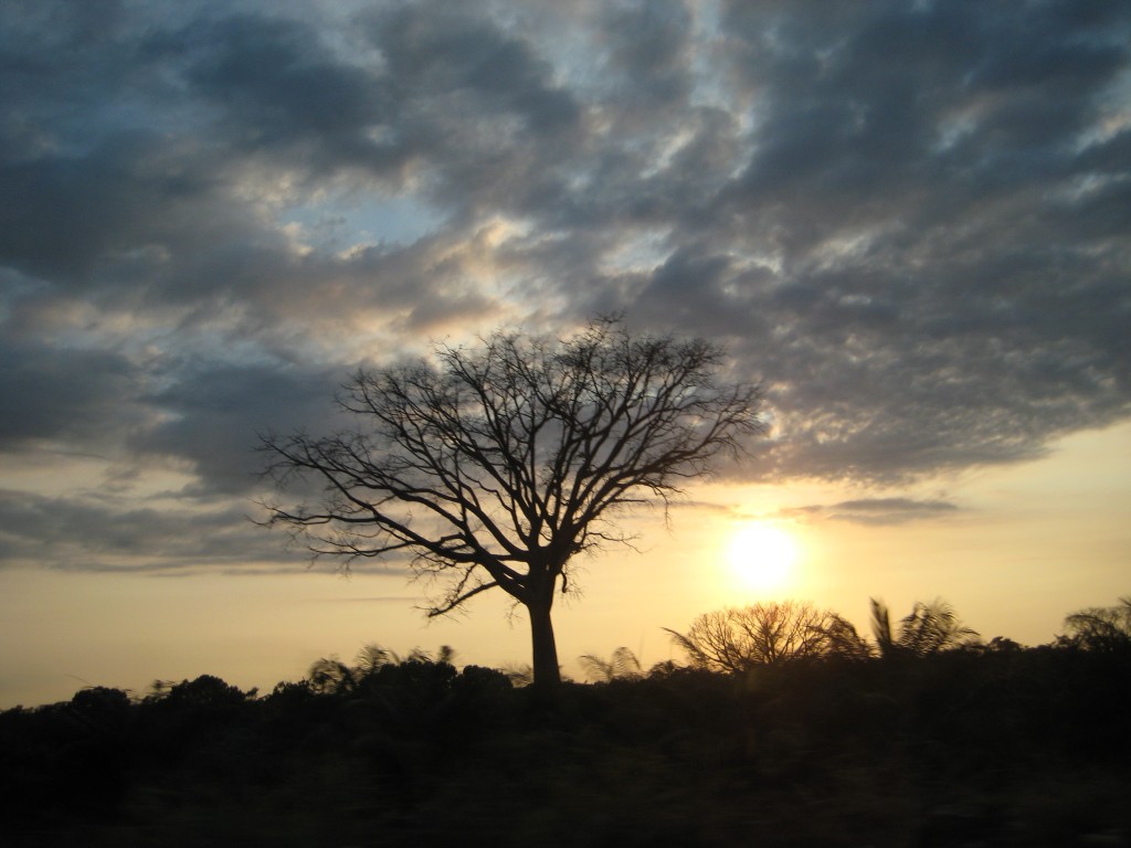 Foto de Tapachula (Chiapas), México