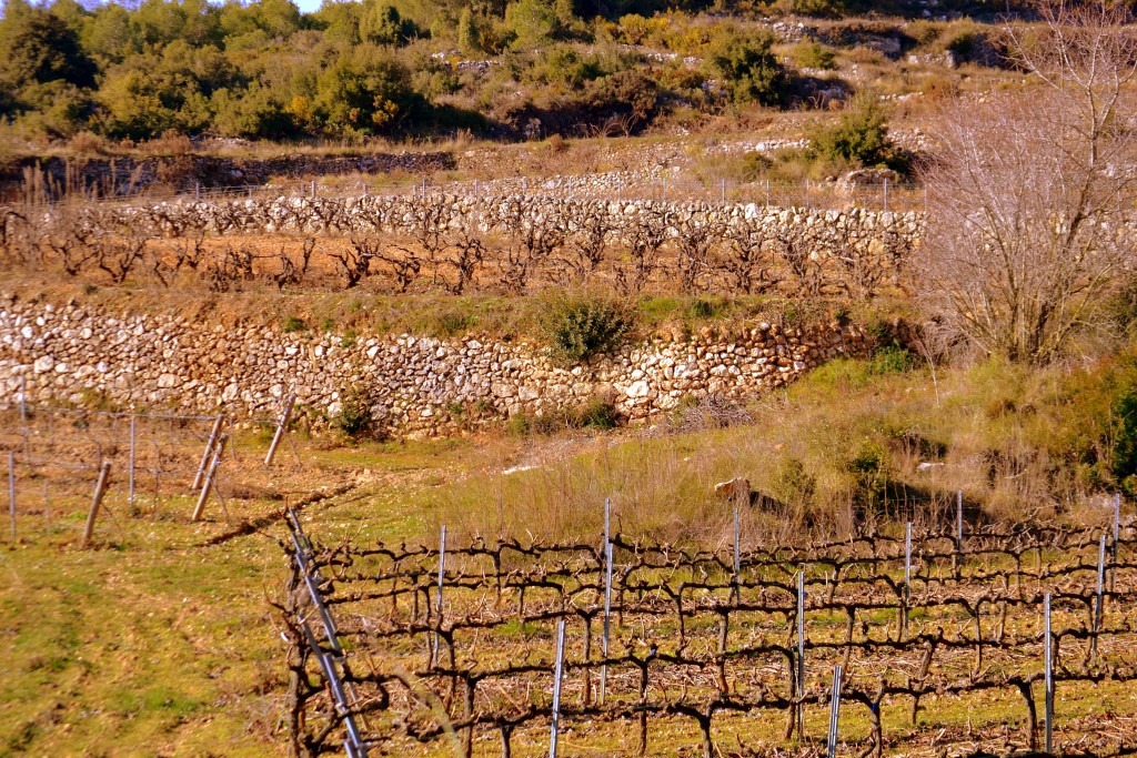 Foto de Subirats (Barcelona), España