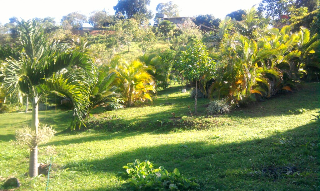 Foto: Jardín - Güiripa (Aragua), Venezuela