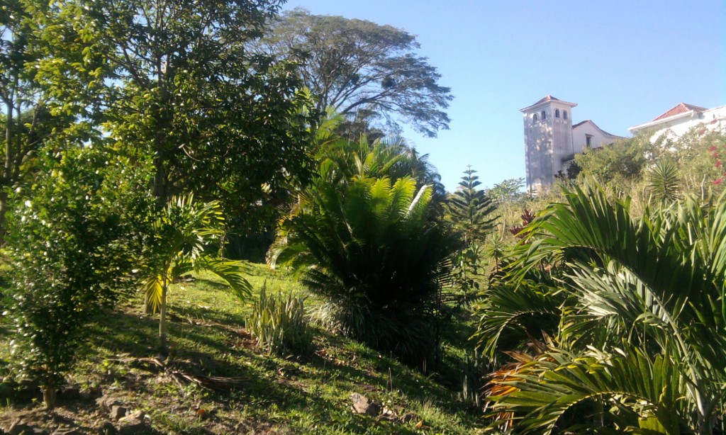 Foto: Campanario - Güiripa (Aragua), Venezuela