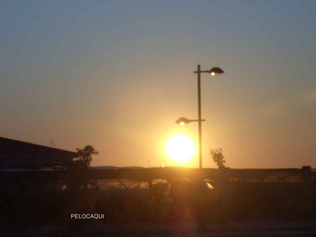 Foto de Palma Del Rio (Córdoba), España