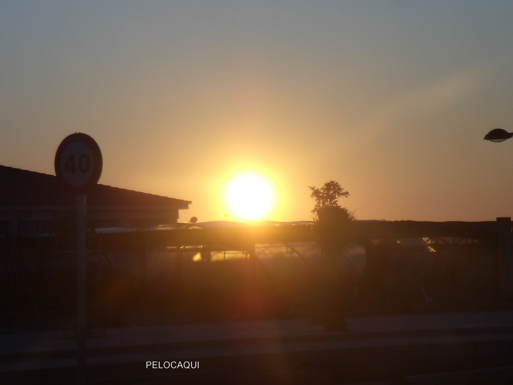 Foto: PELOCAQUI - Palma Del Rio (Córdoba), España