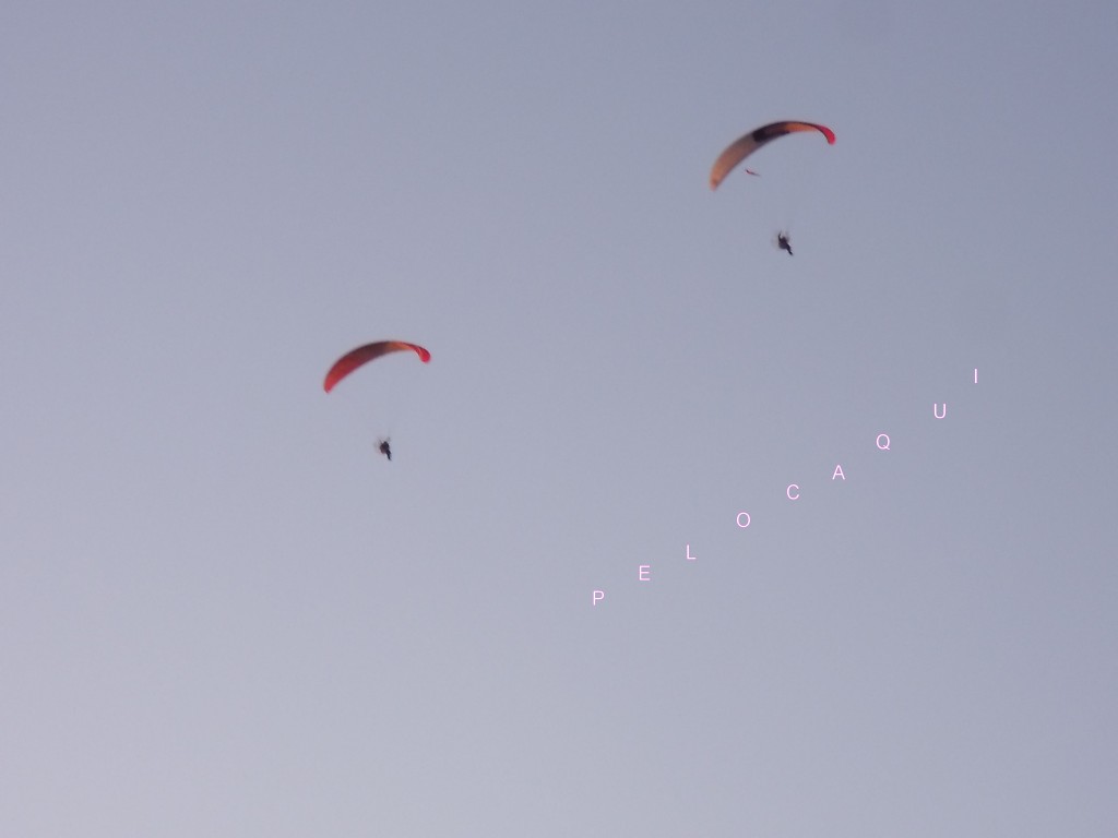 Foto: PELOCAQUI - Palma  Del  Rio (Córdoba), España