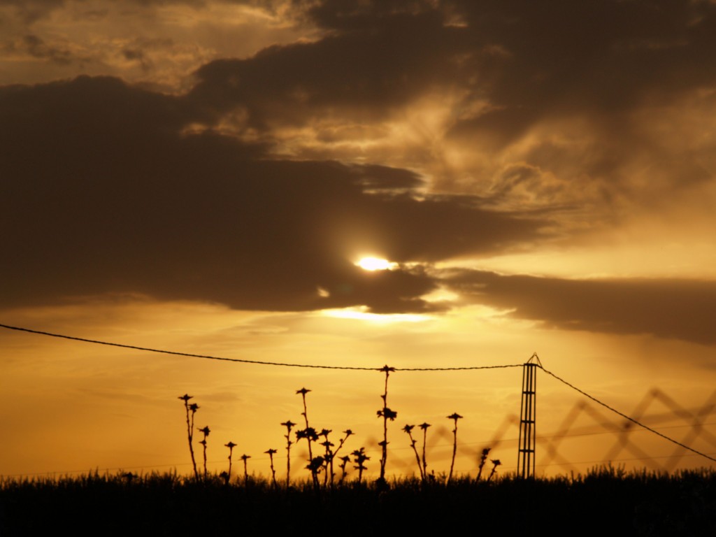 Foto: Atardecer - Atarfe (Granada), España