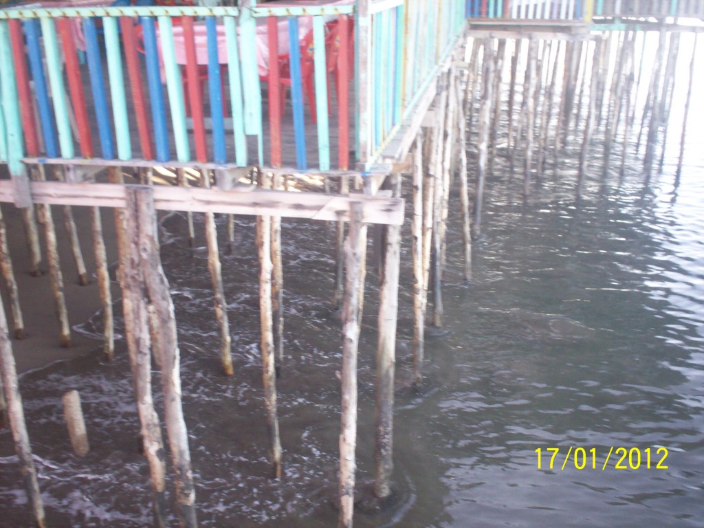 Foto: Playa Cedeño - Choluteca, Honduras