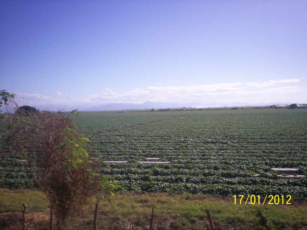 Foto de Choluteca, Honduras