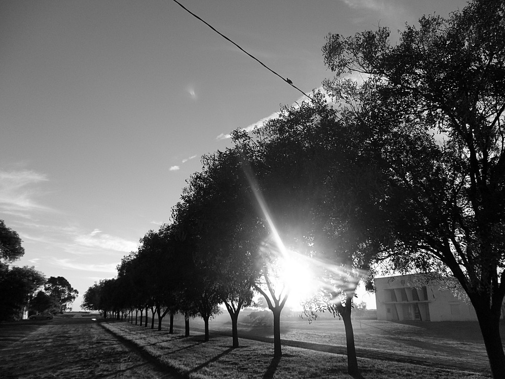 Foto de Arroyo Venado (Buenos Aires), Argentina