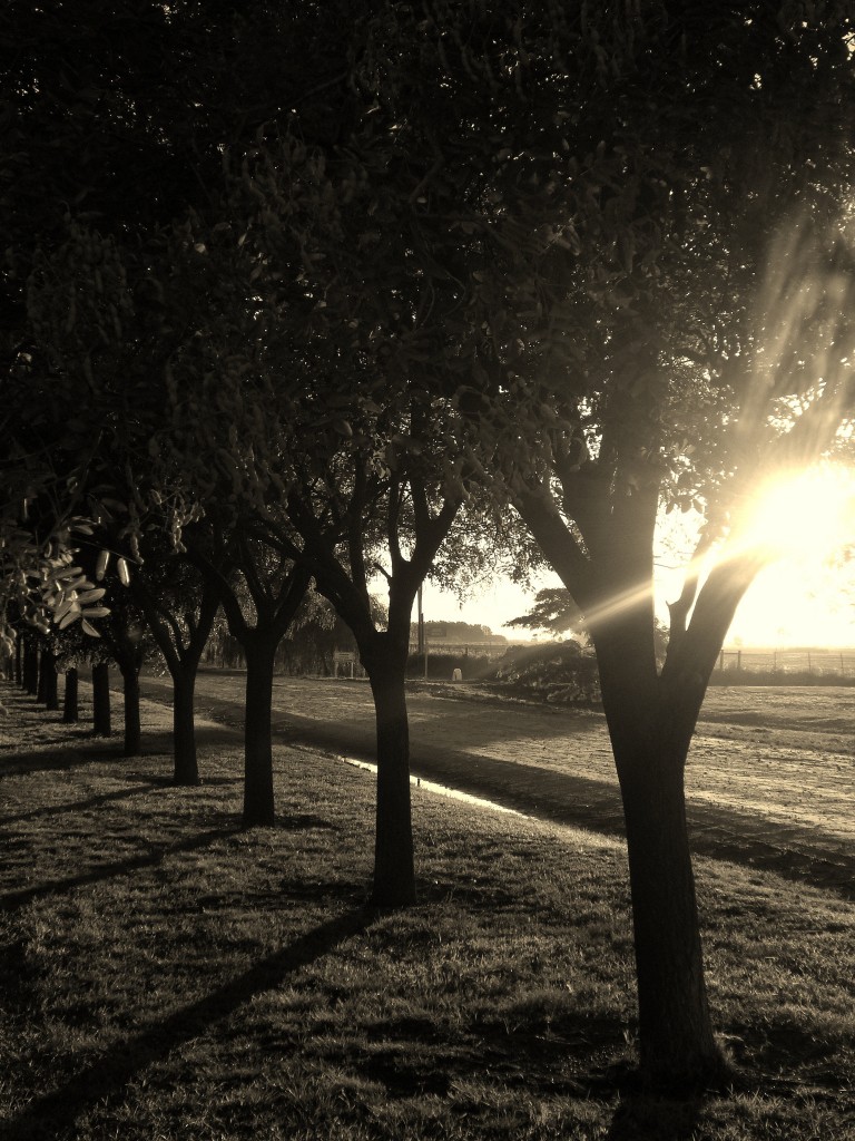 Foto de Guaminí (Buenos Aires), Argentina