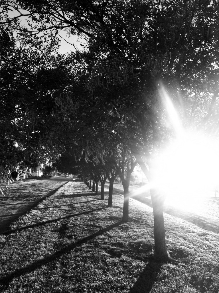 Foto de Guaminí (Buenos Aires), Argentina