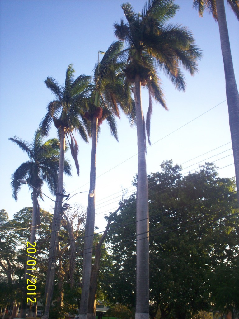 Foto: ATARDECER - Alajuela, Costa Rica