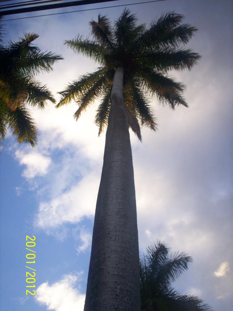 Foto: ATARDECER - Alajuela, Costa Rica