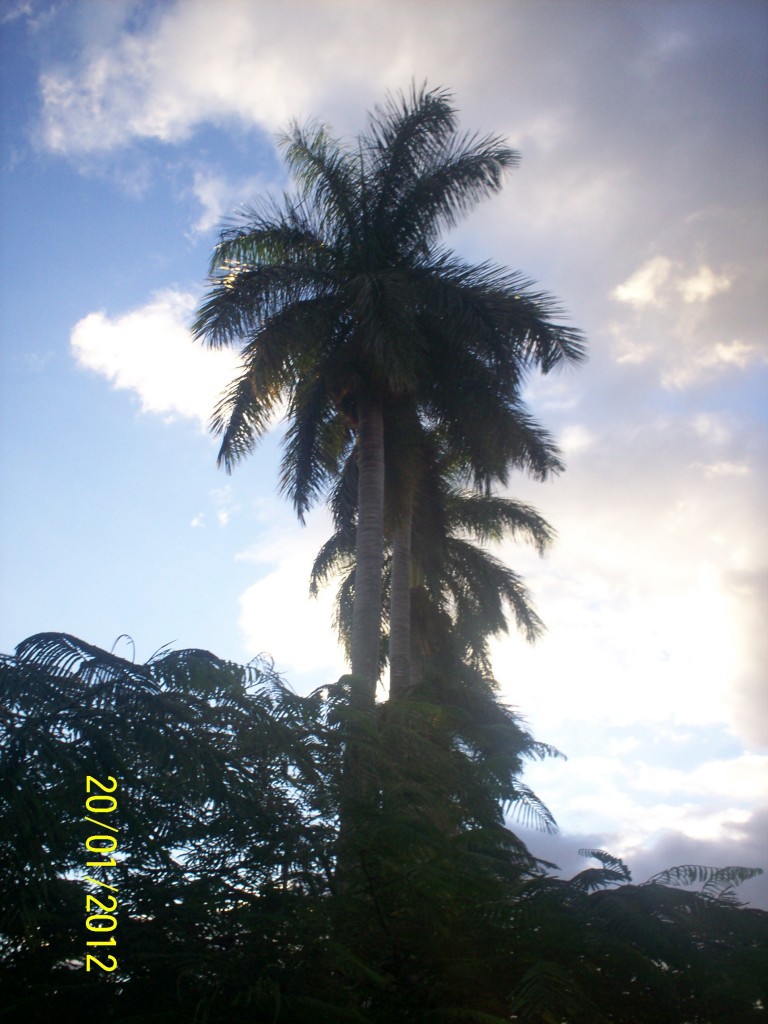 Foto: ATARDECER - Alajuela, Costa Rica