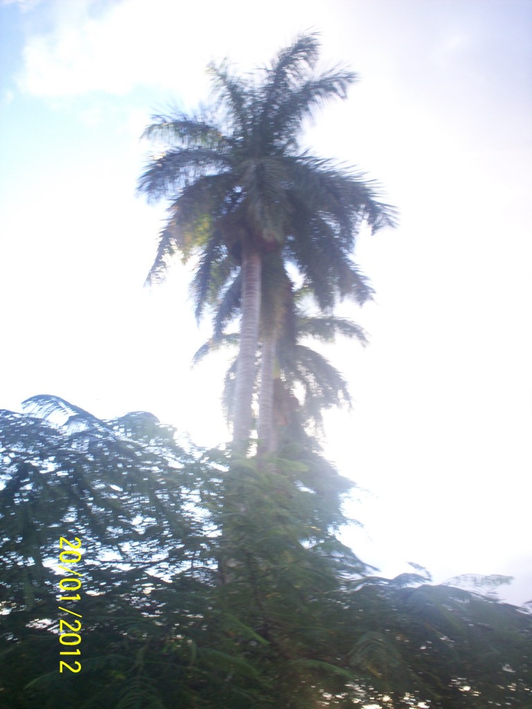 Foto: ATARDECER - Alajuela, Costa Rica