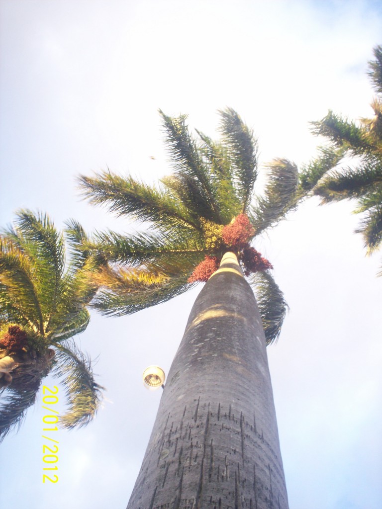 Foto de Alajuela, Costa Rica