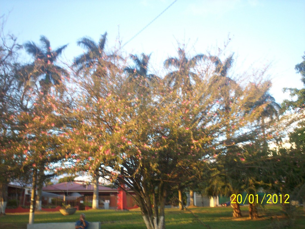 Foto: ATARDECER - Alajuela, Costa Rica