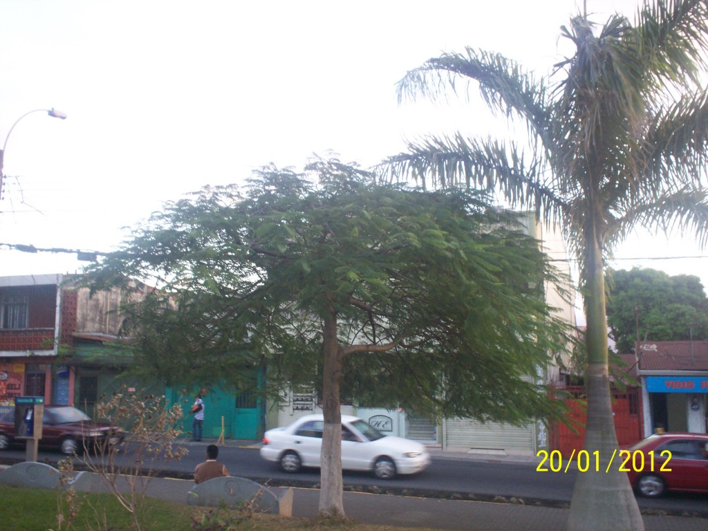 Foto: ATARDECER - Alajuela, Costa Rica