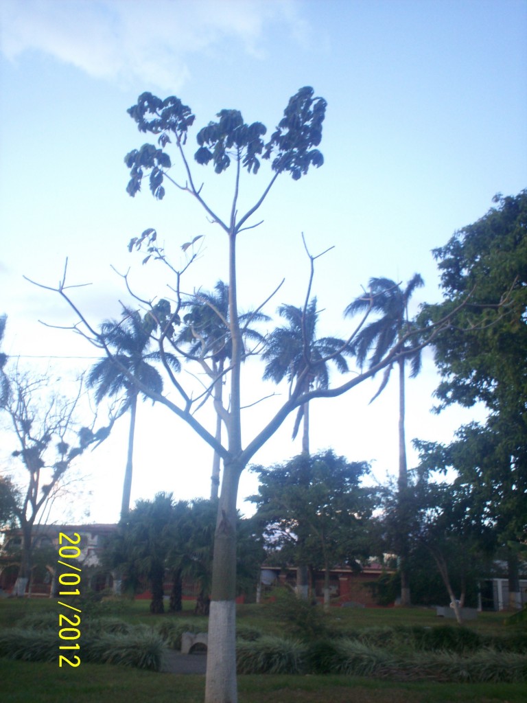 Foto: ATARDECER - Alajuela, Costa Rica