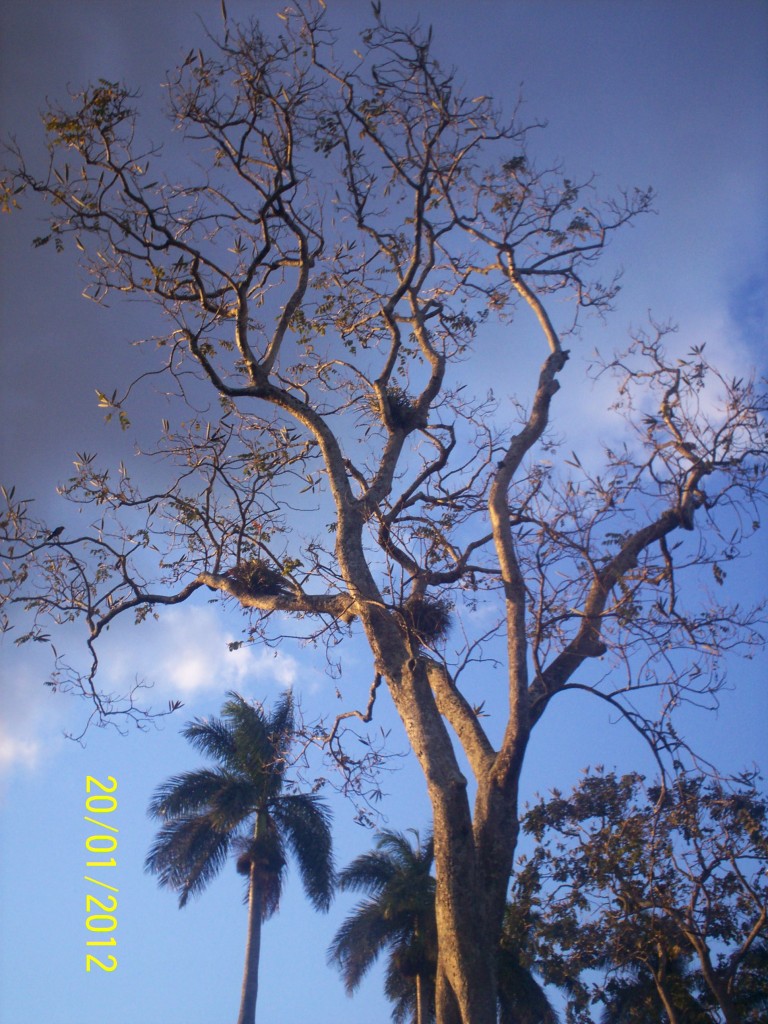 Foto: ATARDECER - Alajuela, Costa Rica