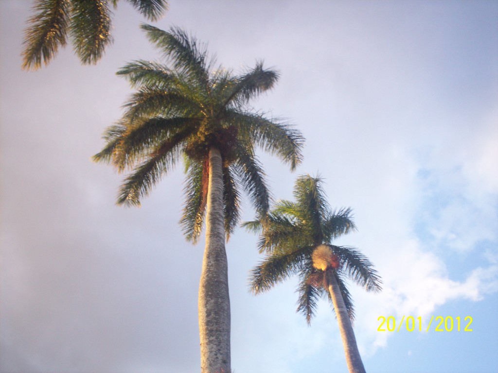 Foto: ATARDECER - Alajuela, Costa Rica