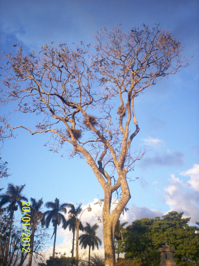 Foto: ATARDECER - Alajuela, Costa Rica