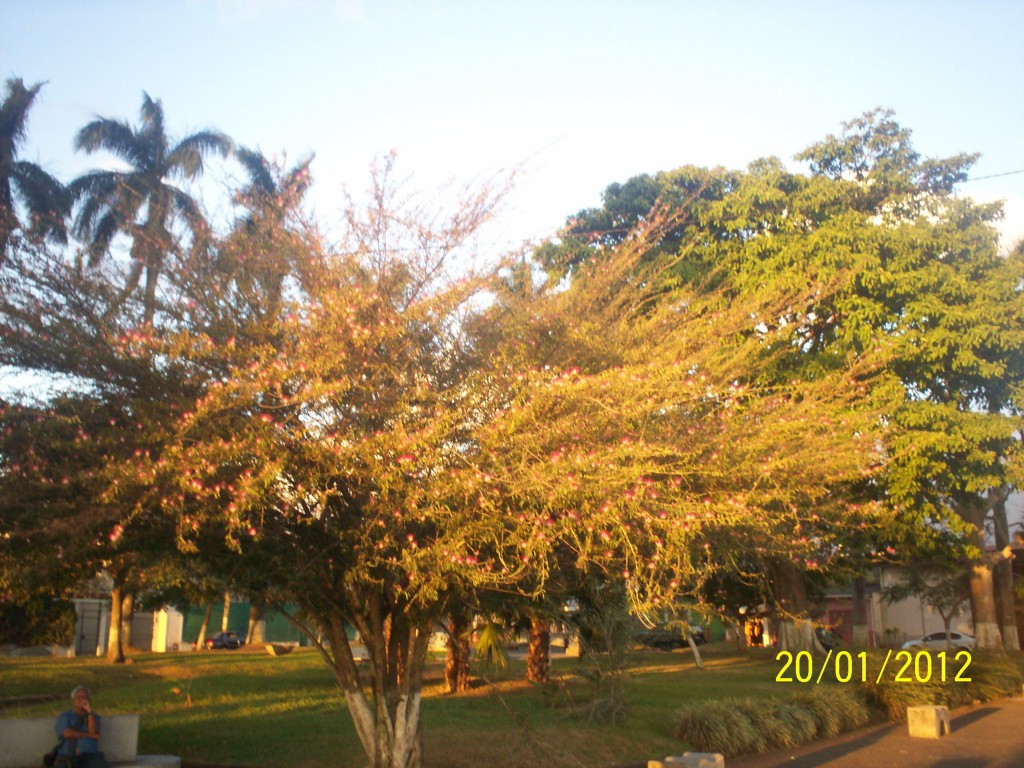Foto: ATARDECER - Alajuela, Costa Rica