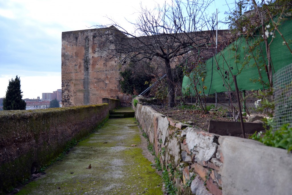 Foto: * TORRE DE LOS POZOS DEL SIGLO XII - Caceres (Cáceres), España