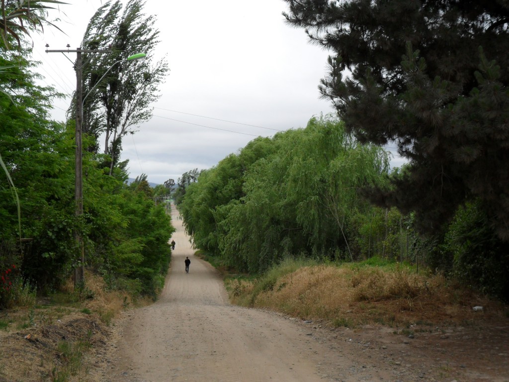 Foto: Codigua - Melipilla (Región Metropolitana), Chile