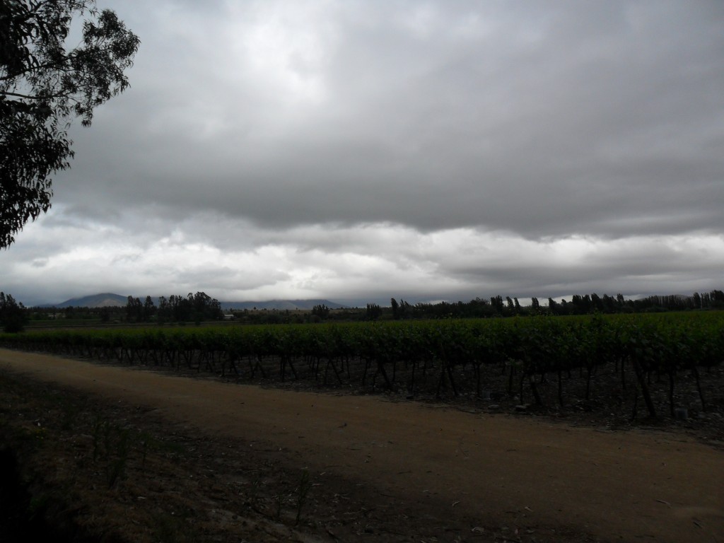 Foto: Codigua - Melipilla (Región Metropolitana), Chile